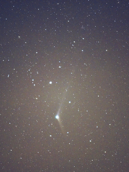 カタリナ彗星 20151209 DSC_0073 300mm h500.jpg